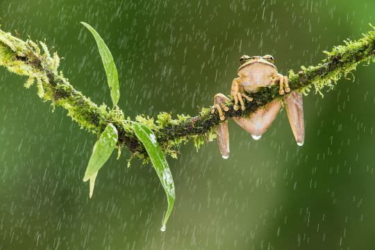 Costa Rica