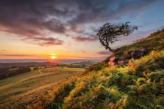 Landscapes of the British Isles